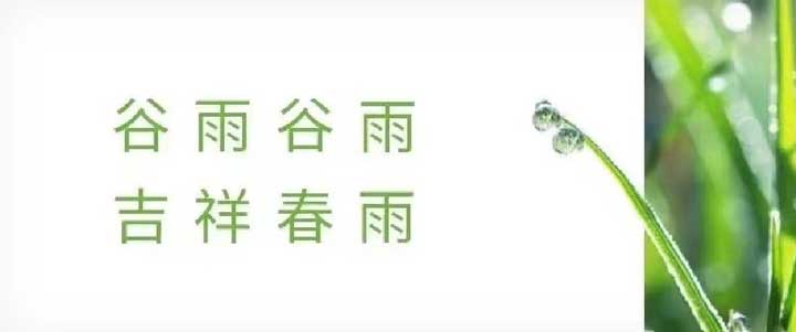 开云全站app（中国）官方
宠物